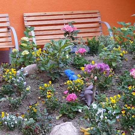 Mecklenburger Hof Pensión Mirow